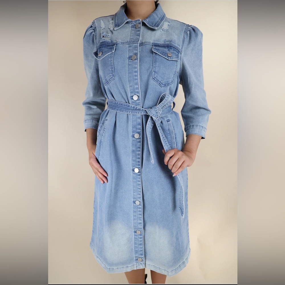Skirted Fancy Boutique Denim Button-Up Belted Dress
